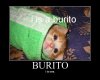 Burrito.jpg