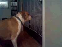 a3027k.gif