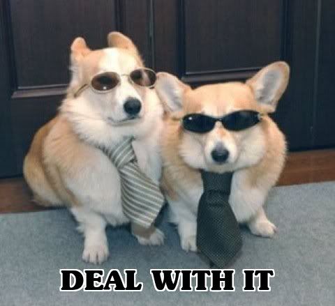 dealwithitcorgis.jpg