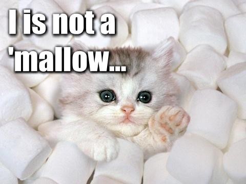 i-is-not-a-mallow.jpg