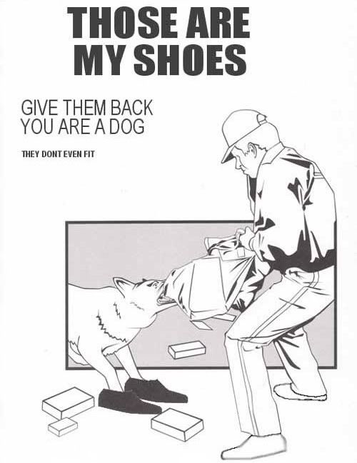 dogshoes.jpg